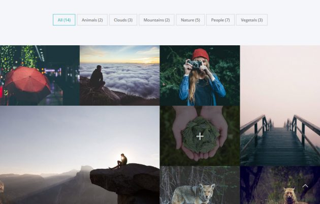 Display WordPress Media files