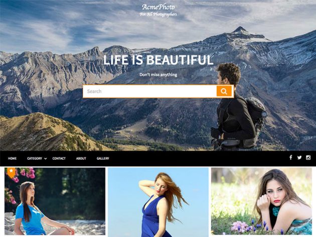 acmephoto-theme