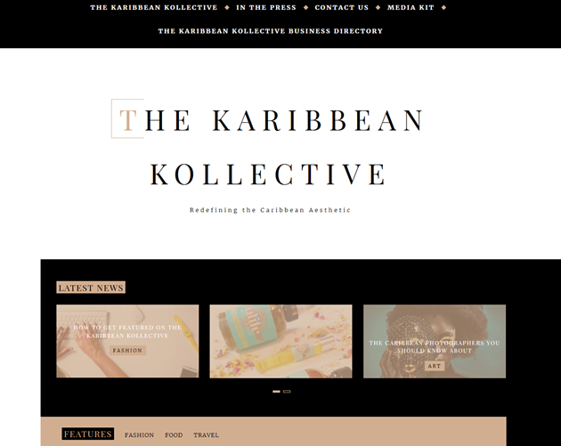 wordpress theme example