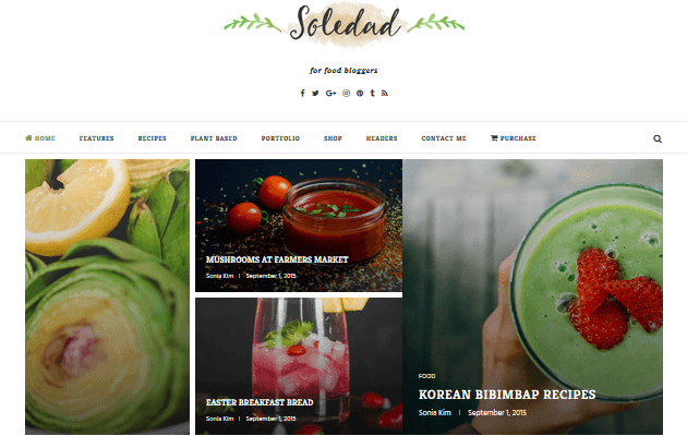 Soledad - Food Blog Themes