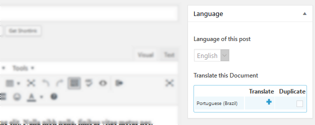 WPML - Manual Translation