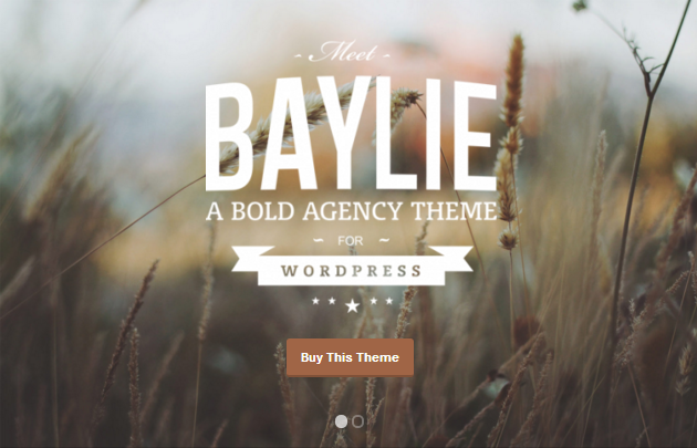 Baylie WordPress Theme