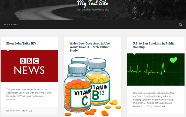 Preview of the final site.