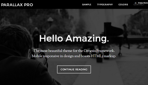 Parallax Pro WordPress Theme