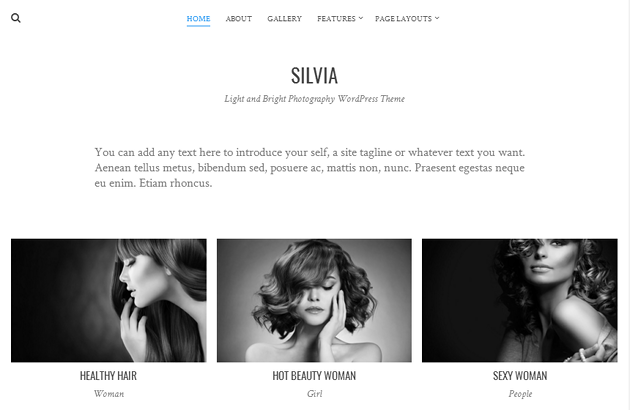 Silvia WordPress Theme