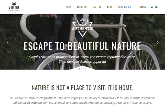 Vigor WordPress Theme