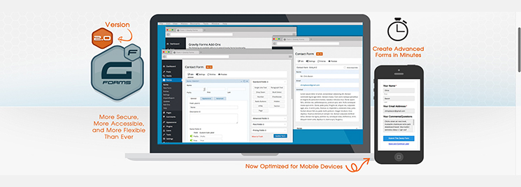 WordPress Gravity Forms plugin.