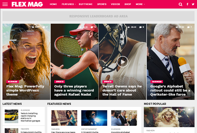 Flex Mag WordPress Theme