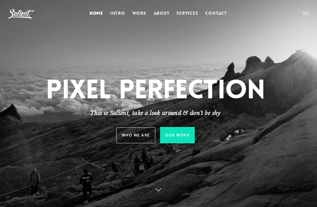 Salient WordPress Theme
