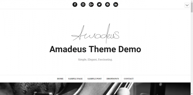 Amadeus Blogging Theme