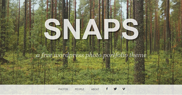 Snaps Portfolio Theme