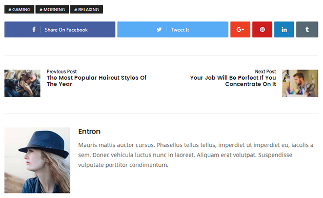 Entron WordPress Theme