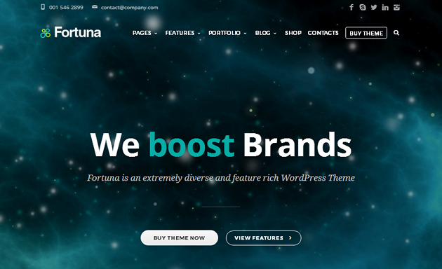 Fortuna WordPress Theme