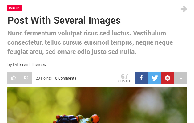 Furious WordPress Theme