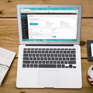 The 3 Things to Look for in a Great WordPress Theme