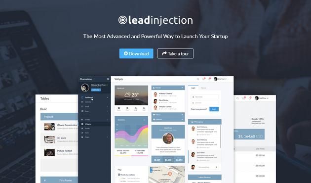Leadinjection WordPress Theme