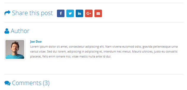 Porto WordPress Theme