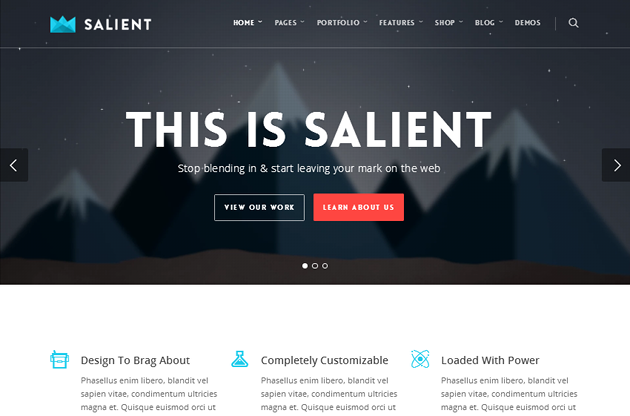 Salient WordPress Theme