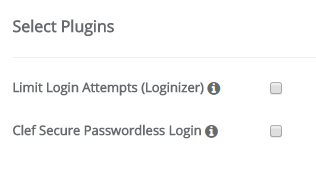 Select WordPress Plugins to Install