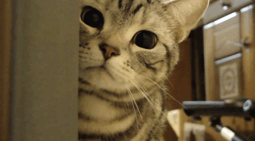 Content Marketing GIFs
