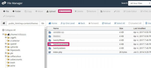 cpanel child theme setup