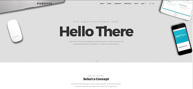 Purefive - Multipurpose, Multiconcept WordPress Theme