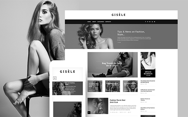 ashion Blog WP Theme