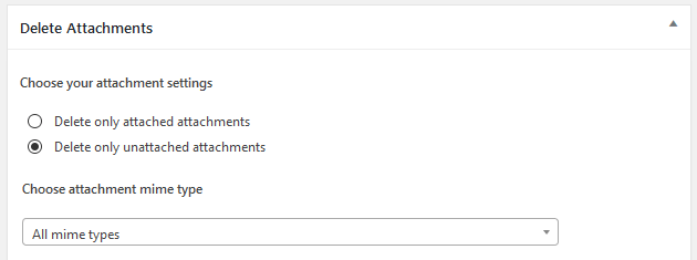 Bulk Delete - Bulk Delete Attachments Add-on.