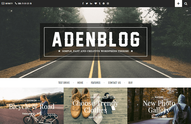 Aden WordPress Theme