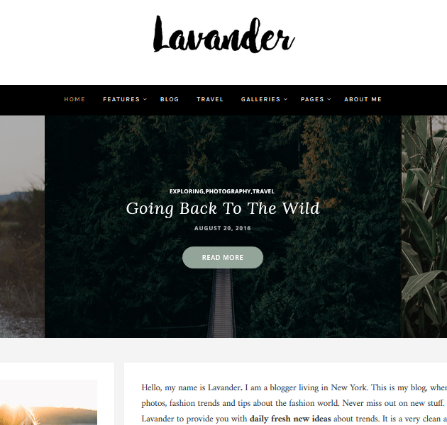 Feminine WordPress Themes - Lavander