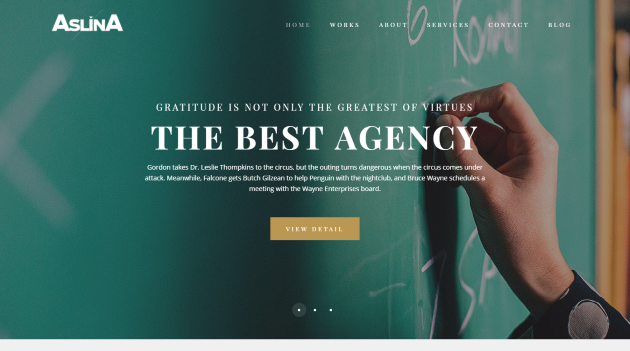 Aslina WordPress Theme