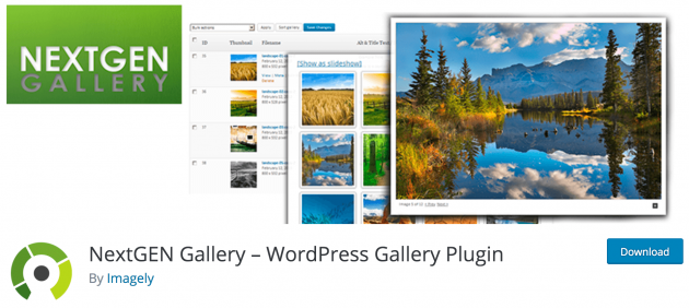 The NextGEN Gallery plugin.