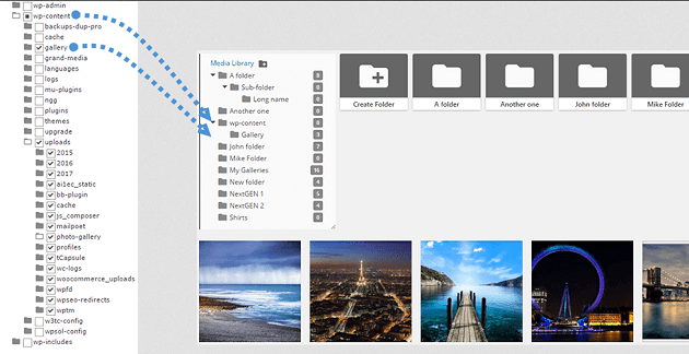 WP Media Folder - Import Function