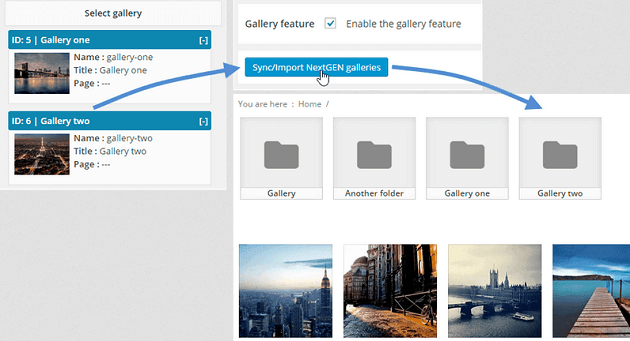 WP Media Folder - NextGEN Integration