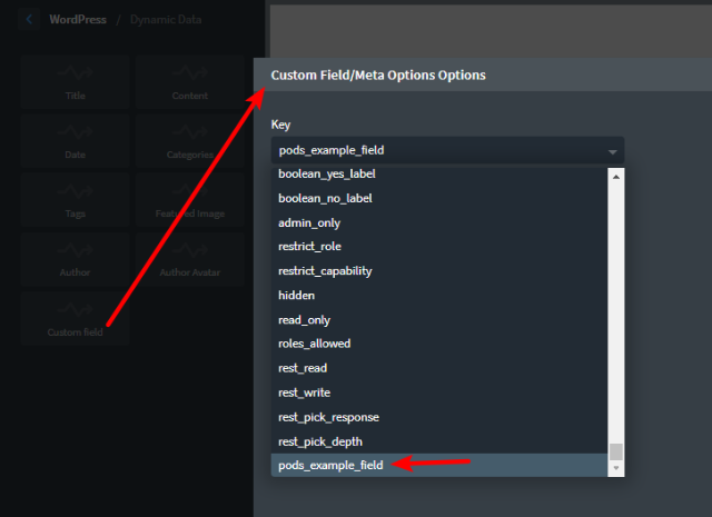 dynamic custom fields
