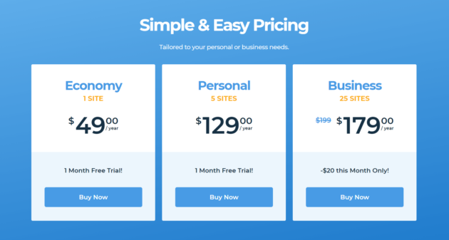 WordPatch pricing options.