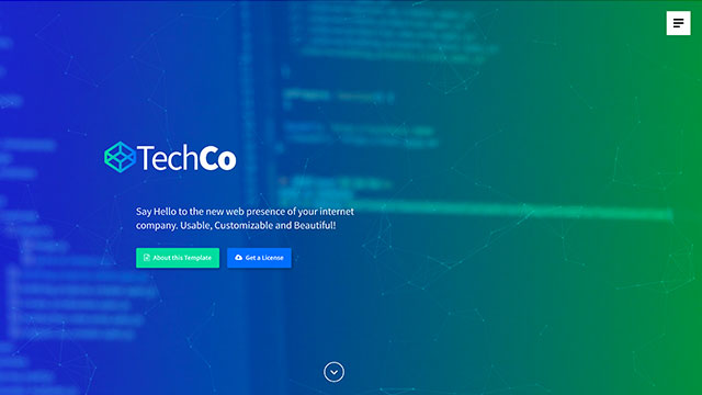The TechCo demo page.