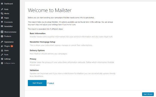 Mailster review setup wizard