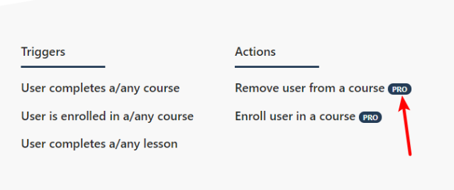How to tell which actions/triggers are in Lite vs Pro