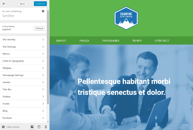 wordpress customizer