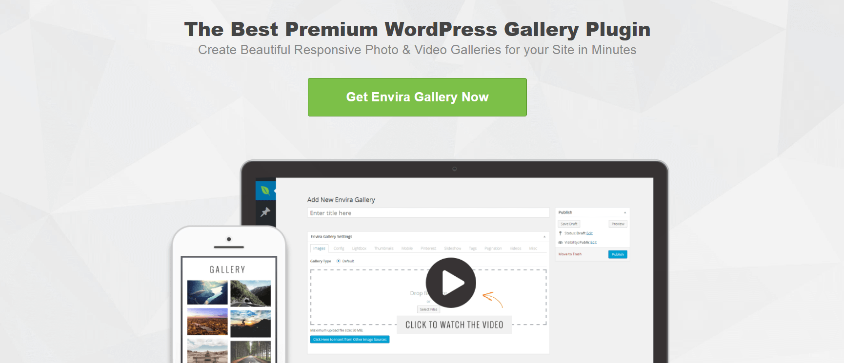 The Envira Gallery plugin.
