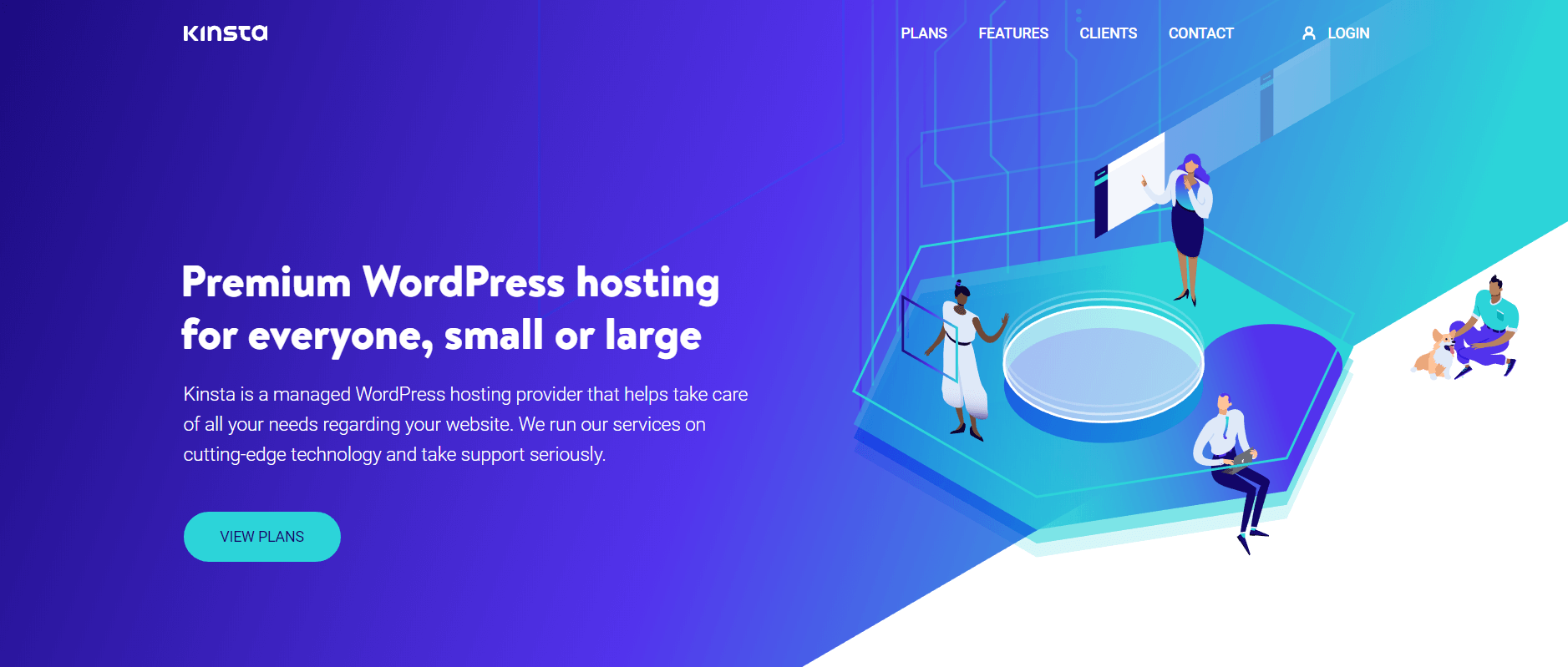 The Kinsta website.
