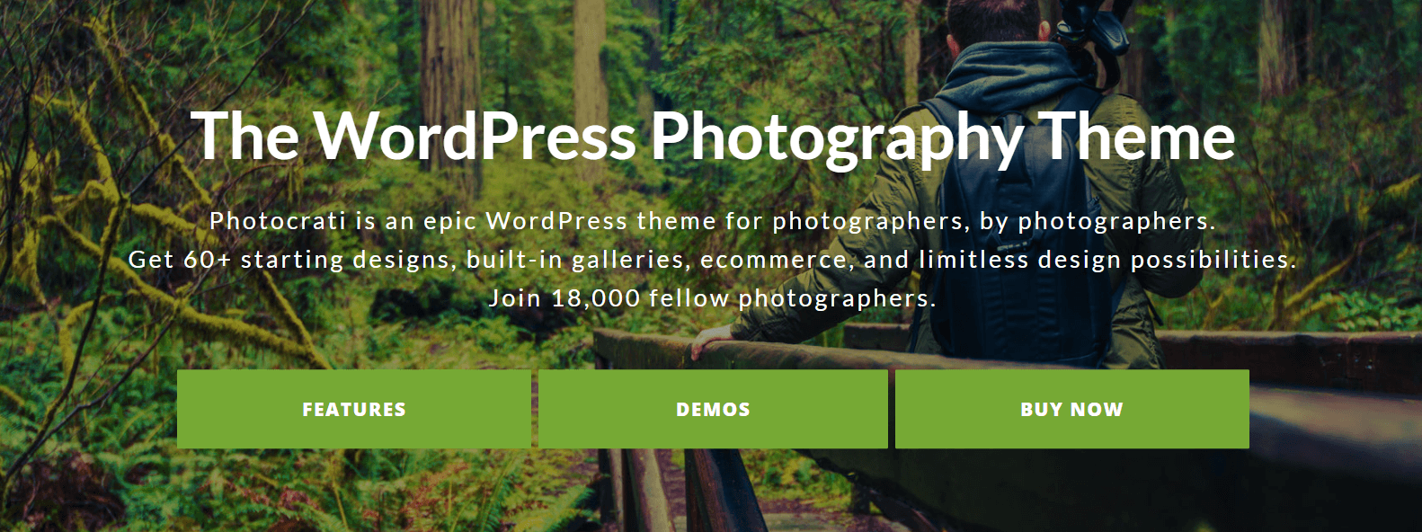 The Photocrati theme.