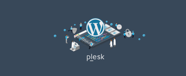 WordPress developer's pain points