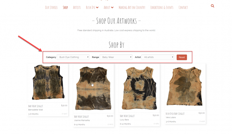 WordPress custom search
