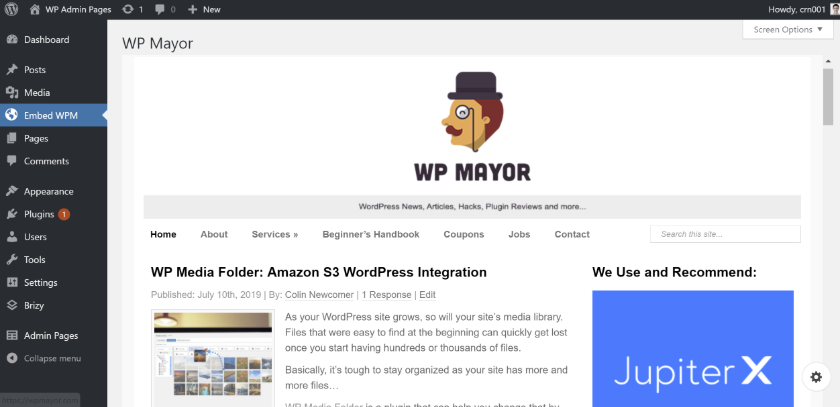 WP Admin Pages pro embed html