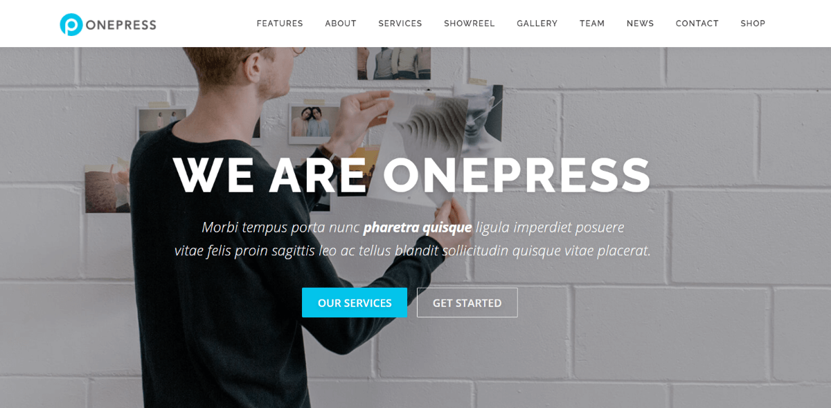 OnePress One Page Portfolio WordPress Themes