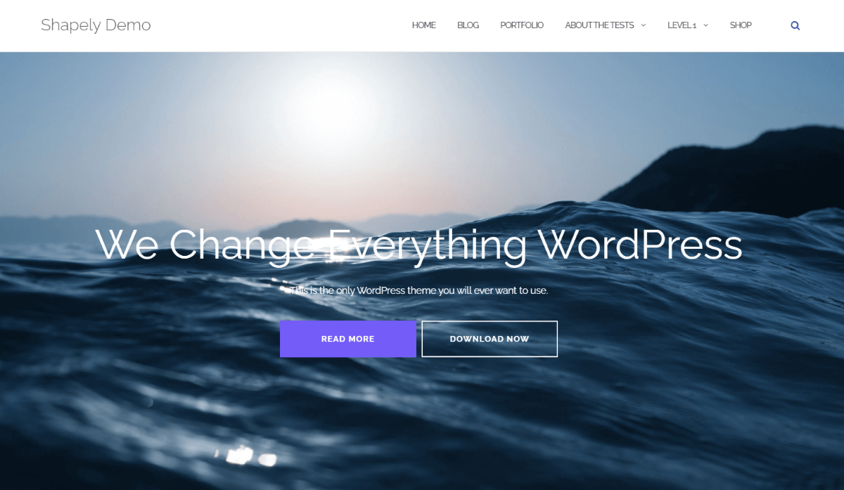 Shapely One Page Portfolio WordPress Themes