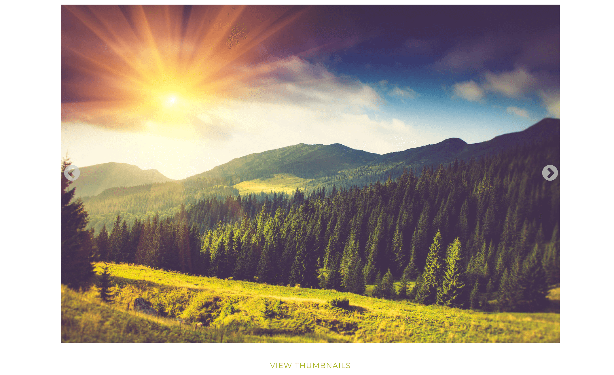 A slideshow gallery made with NextGEN Gallery.