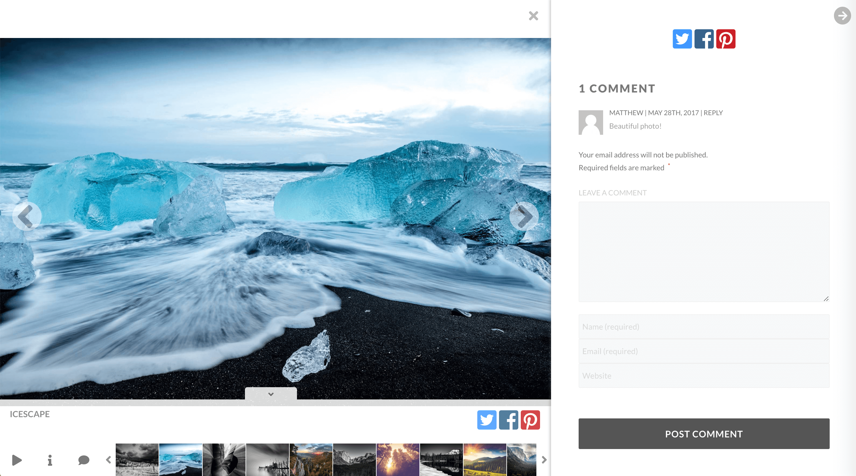 Social sharing and commenting options in the NextGEN Plus lightbox display.